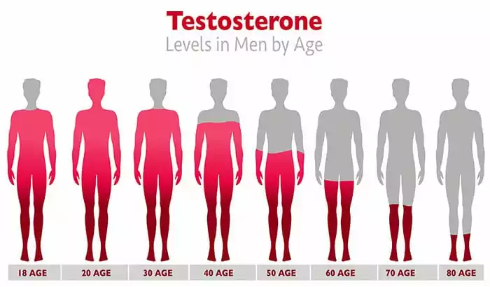 Testosterone Levels in Men by Age | Dragonfly Medspa
