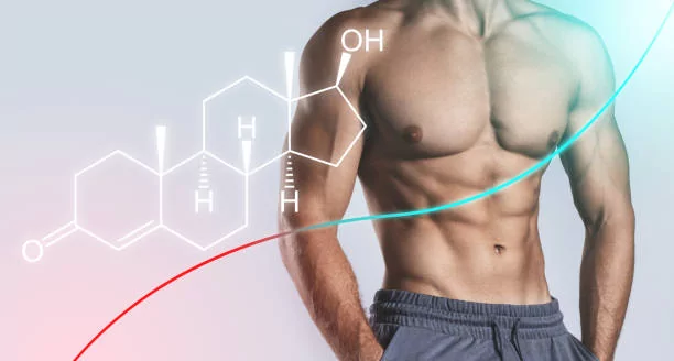Guide to Low Testosterone Therapy: Improving Your Health and Sex Life